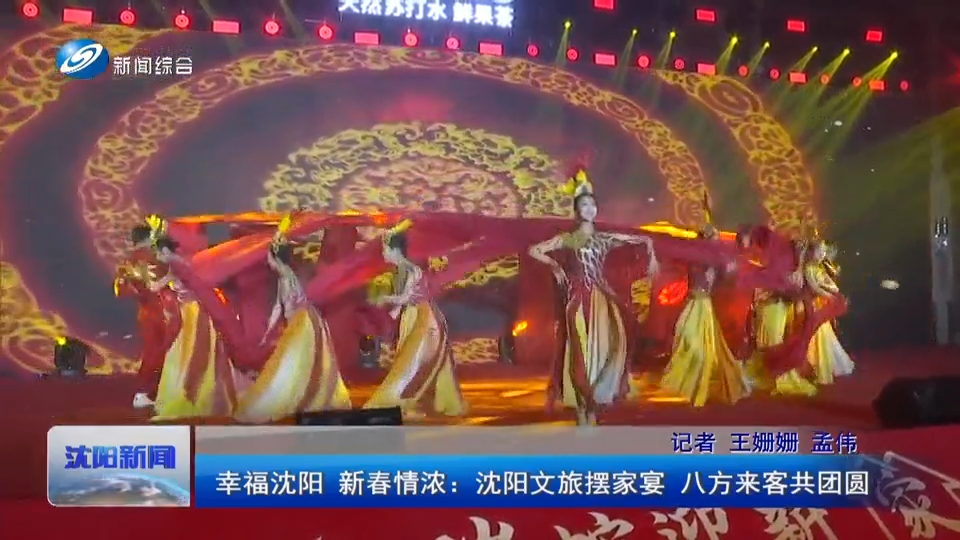 沈阳新闻综合频道：幸福沈阳 新春情浓：沈[00_00_23][20250223-151837].png